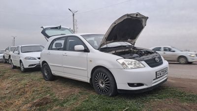 Toyota corolla 2002 hechbeck