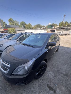 Cobalt midnight 2025