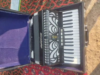 Аккардион валтмейтер