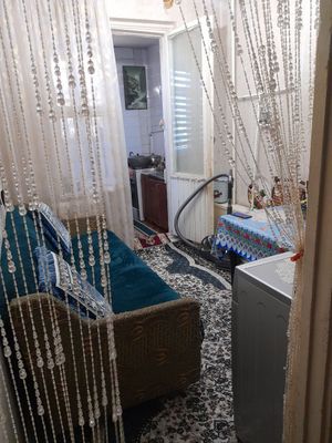 Kv quyiladi student qizla baxmal yonida umid ped instga yaqin