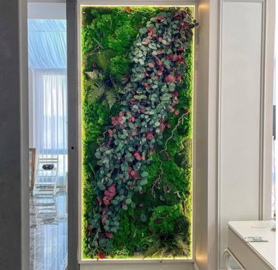 Decor rasimlar Uy,ofislar uchun tabiy gullar