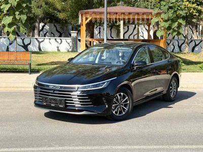BYD CHAZOR 55km bez lyuk 2025y