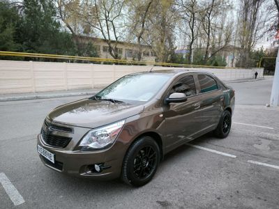 Кобалть Cobalt zeus 2023