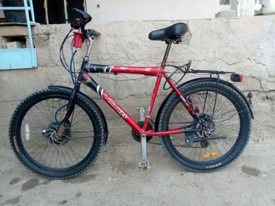Velik bembekis razmer 26
