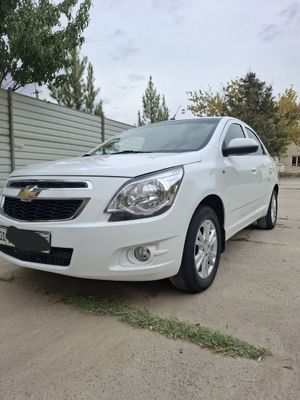 Cobalt full poz 2023 Metan