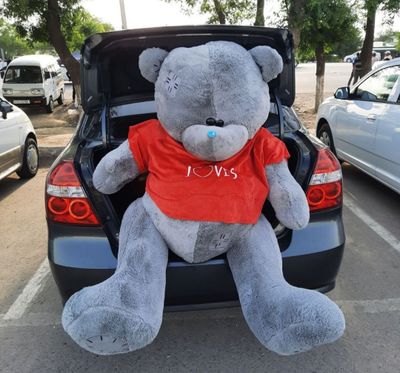 "teddy ayiq" 2metr