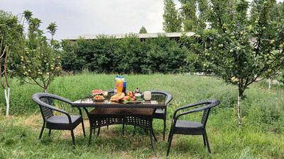 Продам дом 15 соток для проживания и бизнеса( ферма и грибы вешенка)