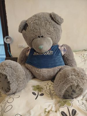 Mishka teddy original