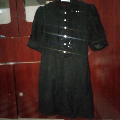 Slf Brendi kóynegi