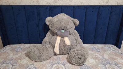 Teddiy b/u xolati yaxshi
