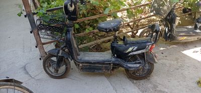 Skuter xolati urtacha 100$