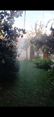 Mikro klimt ishlari