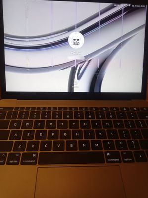 MacBook 12, 2017
