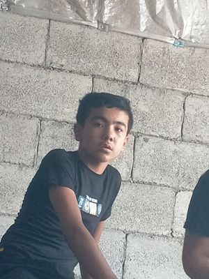 usta ishiga garantiya