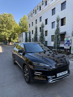 Byd champion 605 km qora
