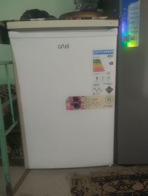 Artel haladelnik