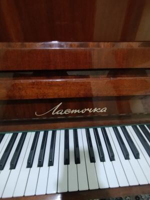 Pianina Lastochka