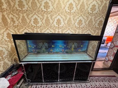 Аквариум с подсьавкой