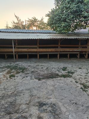 Qõyxona sotiladi