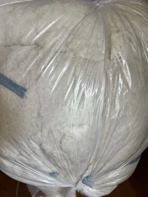 Tin tin qilingan tayyor paxta sivati oliy.