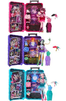 Куклы monster high scullmate secrets