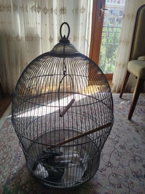 клетка для птиц.