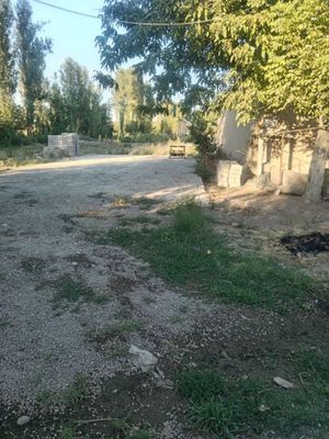 Arzon Yer sotiladi 7 sotok Qo’yliqdan 20 minutlik yol Toytepa 15 ovul