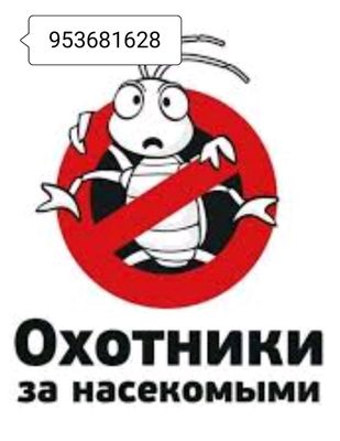 дезинфекция