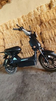 Sukuter sotiladi