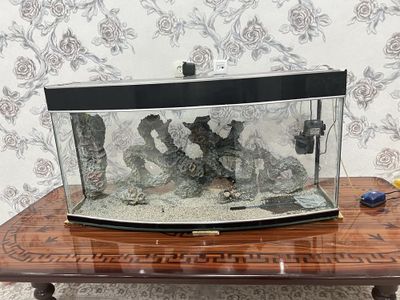 Аквариум большой