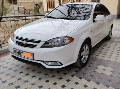 Жентра 2 позиция Gentra