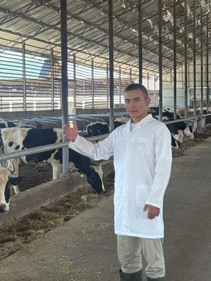 Qishloq xoʻjalik hayvonlarini davolash va veterinar xizmati