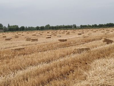 Самон прес сотилади