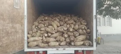 Chorva Karmavey Lavlagi