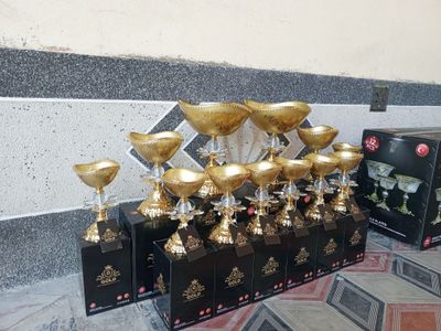 Багима 12 талик туркия