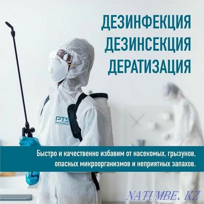 Качественный Услуги дезинфекци