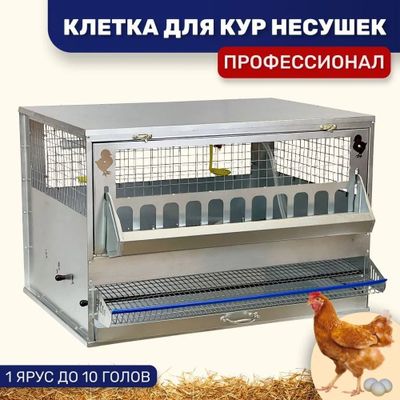 Клетка для кур несушек, цыплят сборная. Россия. На 7-10 голов