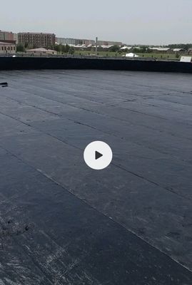 Гедоизаласия хизмати сиз хохлаган