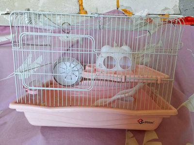 Клетка для хомячков цена: 300.000(договорная)