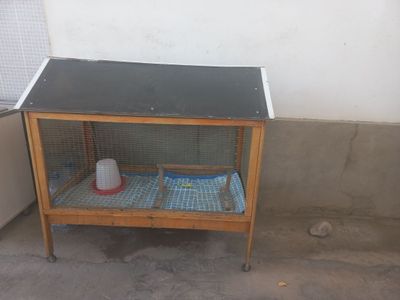 Продам клетку для птиц , цыплят