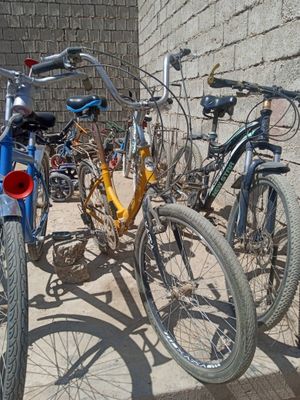 Velosiped skorsli