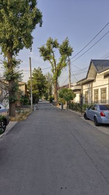 Продается Участок под застройку Мирабадский район