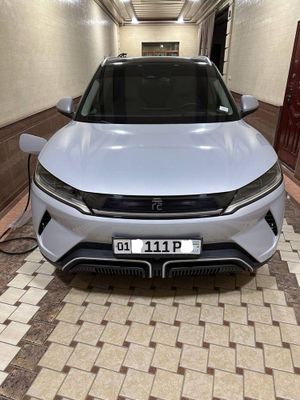 Byd yuan up 2024