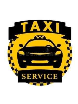 Investor kerak. Taxi xizmati kopmaniyasini ochish uchun