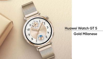 Huawei GT 5 41mm milanese