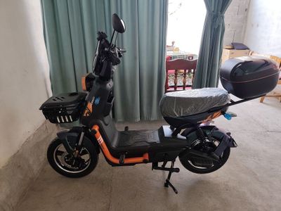 Sukutir drongoo yangi