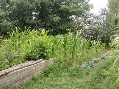 Продажа земля 12 соток