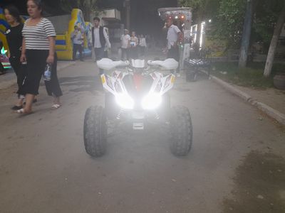 Sharmax sport 01