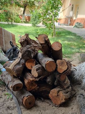 O'tin sotiladi | Продаются дрова