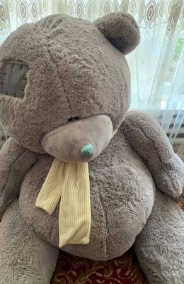 Teddy Ayiq sotiladi 2 meterli